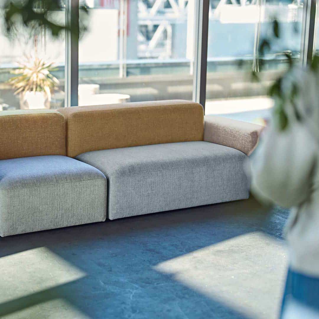 イエローリーフ1