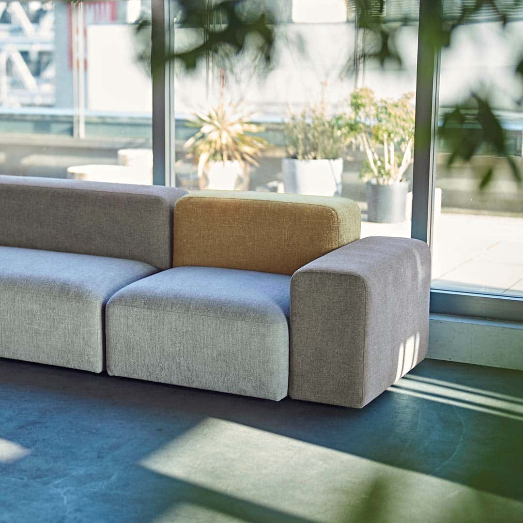 イエローリーフ1